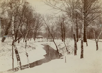 Winter Scene in Forest Park with Stream Cutting Through Snow